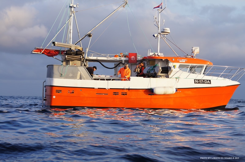 Rosita Cod Fishing Boat Norway