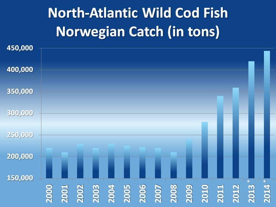 Norwegian Cod Fish Catch